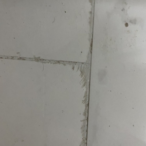 Photo of Gators Custom Tile