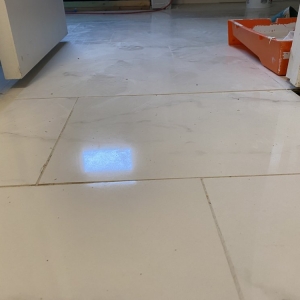 Photo of Gators Custom Tile