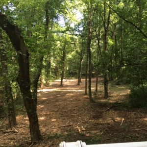 Photo of Southern Land Solutions
