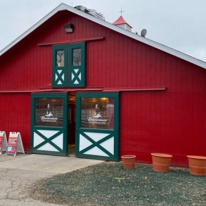 Photo of Bull Exteriors
