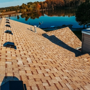 Photo of Bull Exteriors