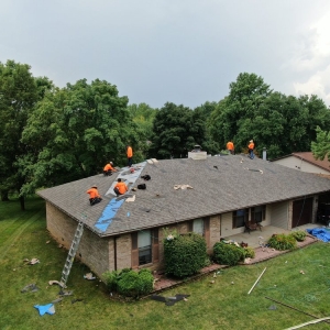 Photo of Bull Exteriors
