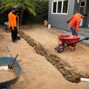 Coronado VP's Landscape