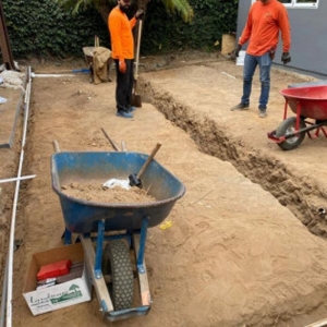 Photo of VP's Landscape