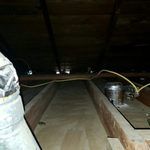 Photo of Attic Star