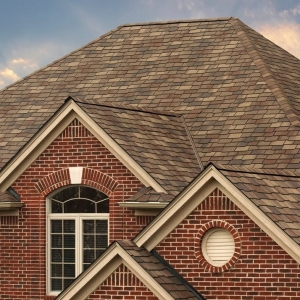 Photo of 512 ROOFS