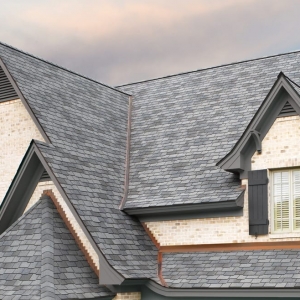 Photo of 512 ROOFS