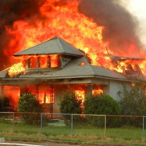 Photo of Paul Davis - North Dallas