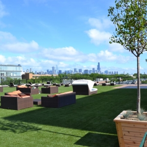 Photo of SYNLawn Chicago