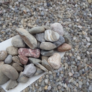 Photo of Mulch and Stone L.L.C. Of Charlette