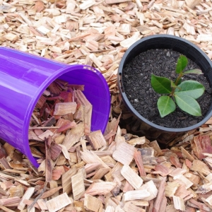 Photo of Mulch and Stone L.L.C. Of Charlette