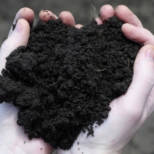 Photo of Mulch and Stone L.L.C. Of Charlette