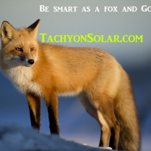 Photo of Tachyon Solar