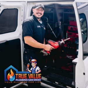 Photo of True Value Plumbing