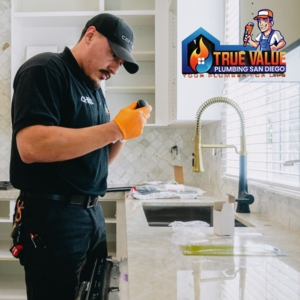 Photo of True Value Plumbing