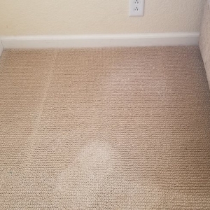 Photo of Lee Carpet & Upholstery Cleaning