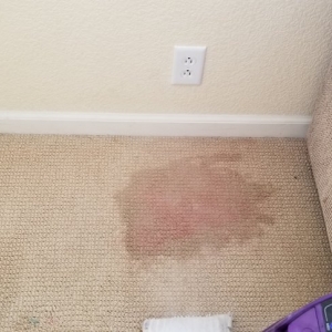 Photo of Lee Carpet & Upholstery Cleaning