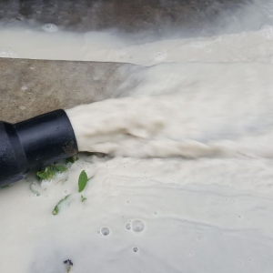 Photo of Lee Carpet & Upholstery Cleaning