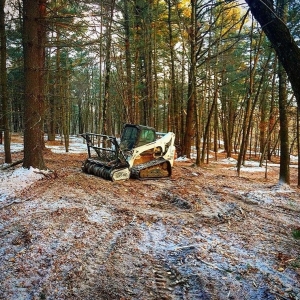 Hudson Filli's Forest Products