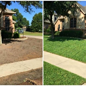 Photo of The Chowtreez Landscaping Full Lawn Services