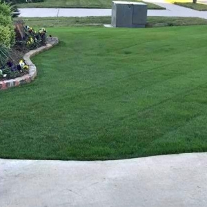 Photo of The Chowtreez Landscaping Full Lawn Services