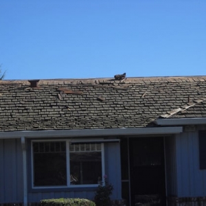 Photo of Williams Roofing