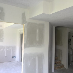 Photo of Worm Drywall