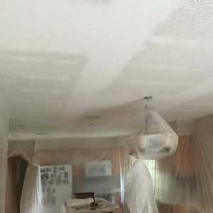 Photo of Worm Drywall