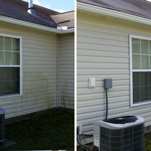 Photo of VIP LAWN CARE
