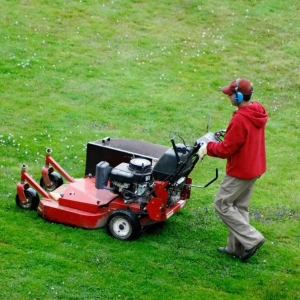 Photo of VIP LAWN CARE