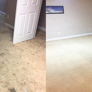 Photo of Safe-Dry Carpet Cleaning of Arlington