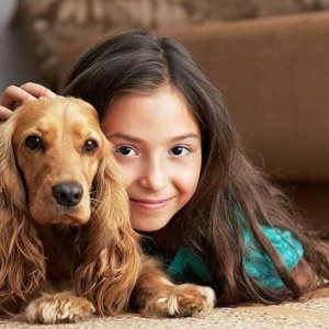 Photo of Safe-Dry Carpet Cleaning of Arlington