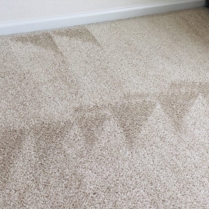 Photo of Extremely Clean Carpets & Services