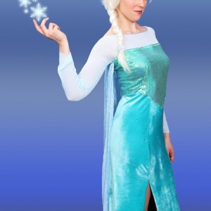 Photo of Boston Princess Parties