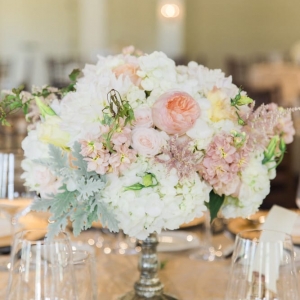Photo of Seven Stems