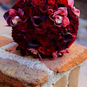 Photo of Seven Stems