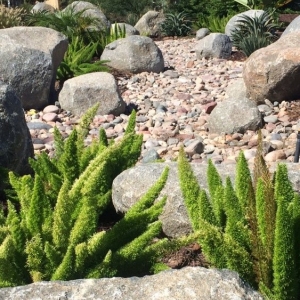Photo of Allison Landscaping