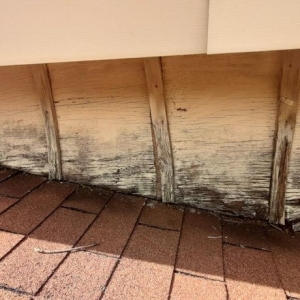 Photo of St. Louis Roofing & Siding
