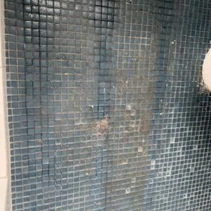 Photo of Flash Pro Cleaning