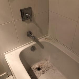 Photo of Heavenly Housekeeping