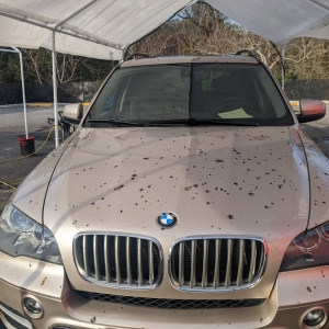 Photo of Pit Speed Auto Detailing