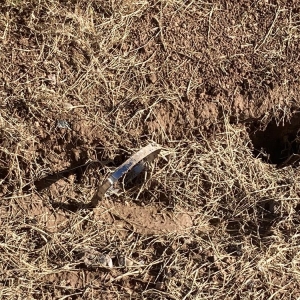 Photo of Moon Valley Plumbing