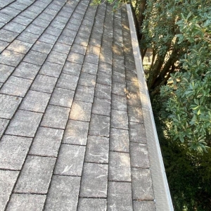Locust ATW Gutter Protection