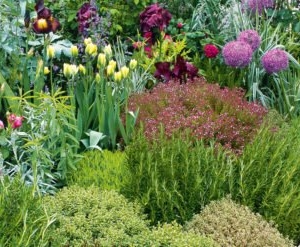 Photo of Daniel's Lawn and Garden