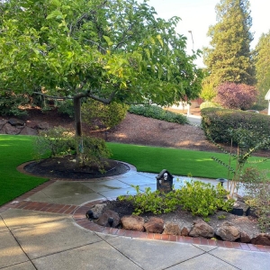 Photo of Bay Area Turf