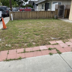 Photo of Bay Area Turf
