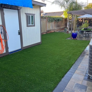 Photo of Bay Area Turf