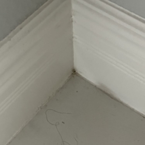 Photo of Clean Swipe EP