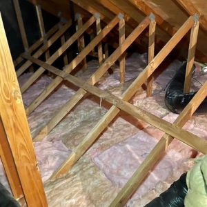 Photo of Norcal Rodent Proofing