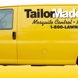 Photo of Tailor Made Lawns